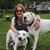 Kristi Stoltzfus's profile image