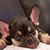 Martea Myles's profile image