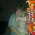 Suzanne Hutcheson's profile image