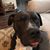 Diana Cornett Hoobler's profile image