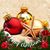Laurie Hollander's profile image