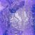 Jim Pyke's profile image