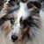 Julie Graves Poulos's profile image