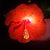 Mark T. Kracker's profile image