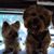 Yolanda Hickman's profile image