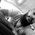 Jairo Armando Maldonado's profile image