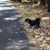 Linda Bryant Halvorson's profile image