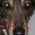 Shelly Cain's profile image