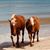Bonnie Waddell's profile image