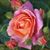 Persnickety Home Cleaning's profile image