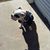 Kent Swenson's profile image