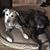 Carlene Miller Lowry's profile image
