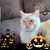 Diane Poulin-Elskamp's profile image