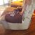 Susan Hebert's profile image