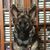 Kelly Lee Brosky's profile image