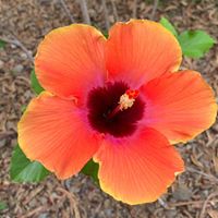 Rita Marie's profile image