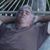 Pete Nanos's profile image