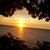 Dyan Sarick's profile image