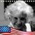 Linda Haines's profile image