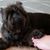 Donald Deckert's profile image