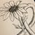 Joyce Dickey's profile image