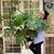 Valerie Layton's profile image