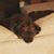Jill Vermeire's profile image
