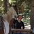 Andrea Shaffer's profile image