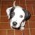 Kerin Gardener's profile image