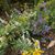 Jane Riha Edwards's profile image
