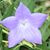 John Burke's profile image