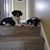 Marie Habat's profile image