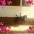 Gael A. Bourquin's profile image
