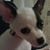 Barb Pruka's profile image