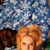 Susan Hudzinski's profile image