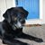 Shawna Carothers's profile image