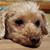 Vickie Bailey-Moon's profile image