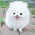 Nicole Williams's profile image