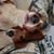 J Owen Schultz's profile image