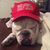 Bruce Hood's profile image