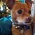 Michelle Wilgues's profile image