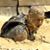 Jim DeHart's profile image