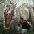 Armando Jimenez's profile image