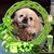 Tammy Delcampo's profile image