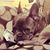 Robby Rigano's profile image