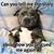 Nancy Reichard's profile image