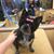 Pamela K. Terry's profile image