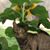 Yvonne Knight's profile image