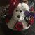 Melody Pugh's profile image