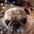 Christy Svenson Coen's profile image